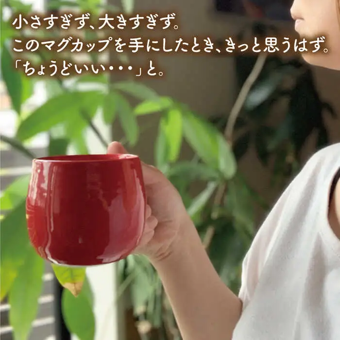 【波佐見焼】マグカップ 2色セット （レッド・ネイビー） 食器 皿 【ROXY】 [SB117]  波佐見焼