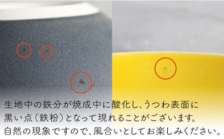 【波佐見焼】Naturalシリーズ マグカップ Mと プレート S (16cm)  ペアセット （グレー）スープカップ スープマグ  食器 皿 【光春窯】 [XD43] 波佐見焼