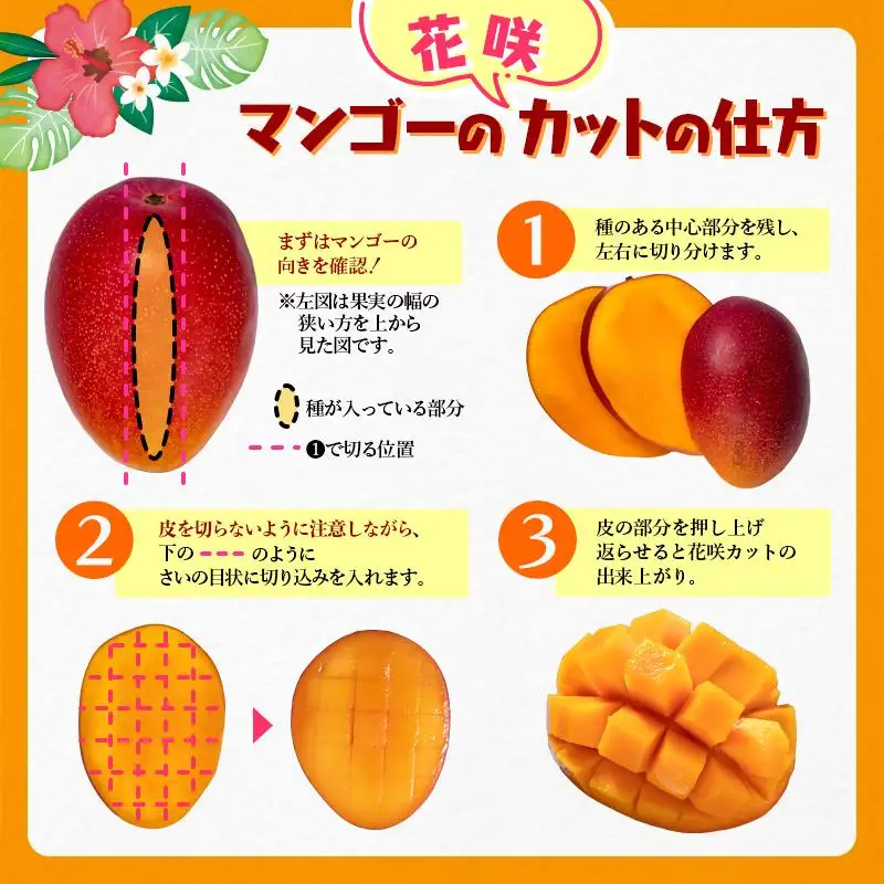 【先行予約】大玉！糖度12度以上 西都市産完熟マンゴー4L×2玉（計1kg程度） 2026年発送＜26-2a＞