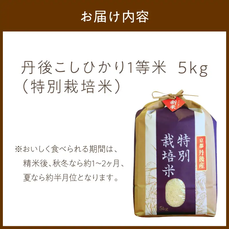 コシヒカリ 5kg 令和8年 白米 精米 コシヒカリ