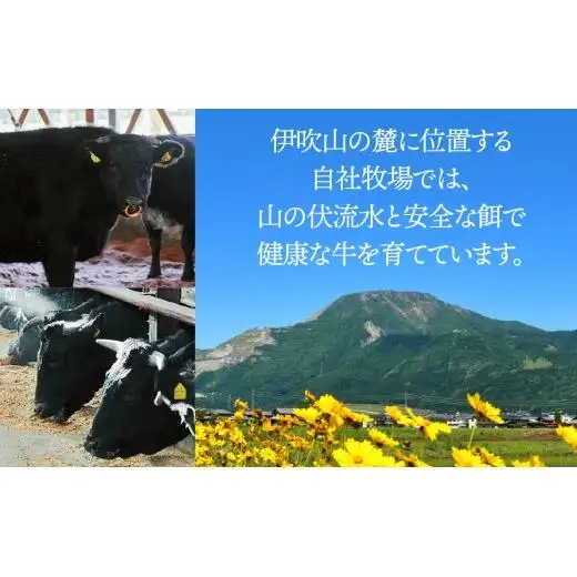 【飛騨牛】 ロースまたは肩ロース720g (すき焼き・しゃぶしゃぶ用) 2025/9/19～