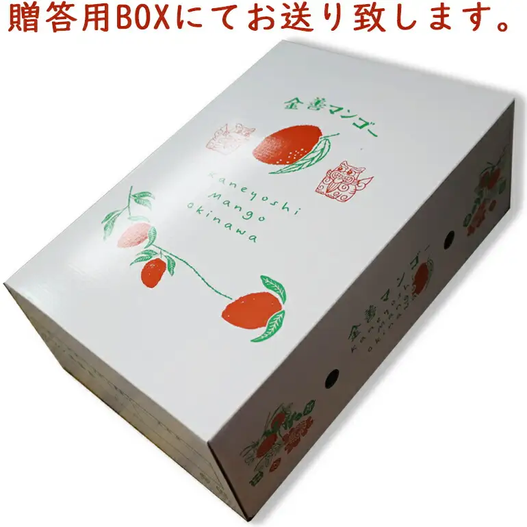 【 先行予約 2026年 発送 】 かねよしマンゴーの甘くとろける マンゴー 2kg ( 贈答用 ) 沖縄県産 アップルマンゴー アーウィンマンゴー 2キロ 国産 完熟マンゴー 果物 くだもの フルーツ 完熟 夏 旬 沖縄 産地直送 農家直送 ギフト 贈答品 糸満市 93-3