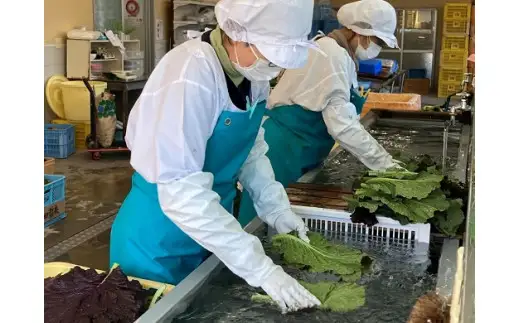熊野特産　たかな漬「めはり」100ｇ×5袋　きざみ用100g×5袋【化粧箱入り】【astk0004】