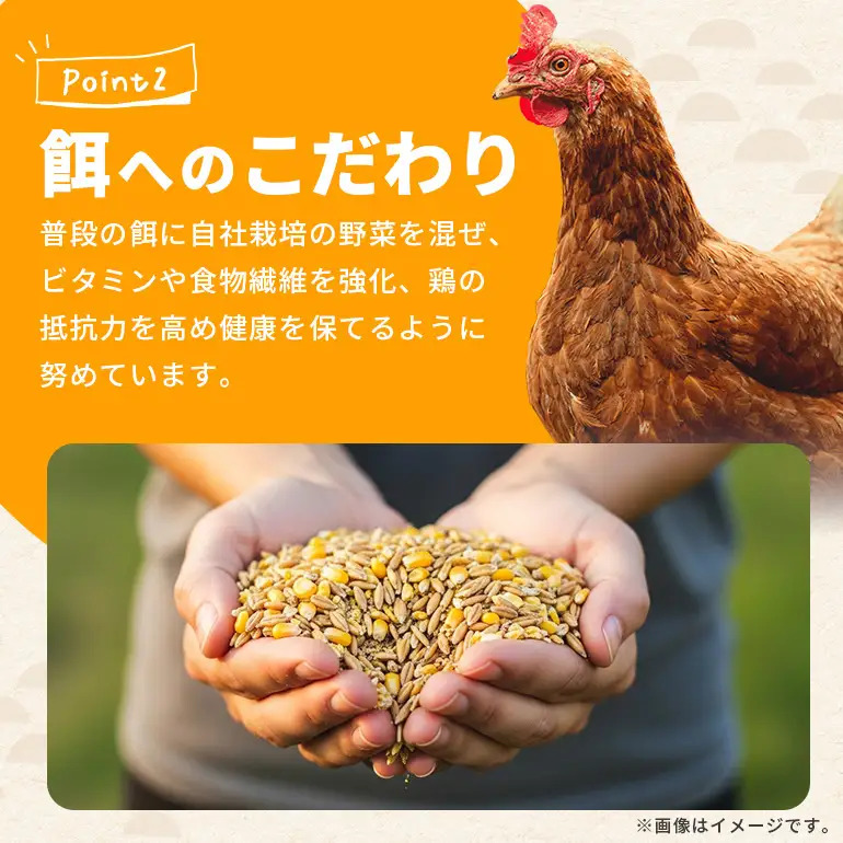 黄身がプリッ!沖縄の大自然が育んだ平飼い卵【ゆかりたまご】 40個 たまご （20個 ×2箱 ）破卵保証の5個を含む MSサイズ 平飼い 卵 タマゴ 産地直送 生卵 鶏卵 濃厚 玉子 卵料理 卵かけごはん TKG エッグ egg 沖縄産 お取り寄せ 沖縄県 糸満市