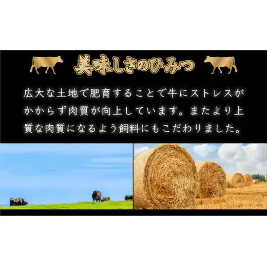 200g×3枚 佐賀牛｢ヒレステーキ｣ G-246