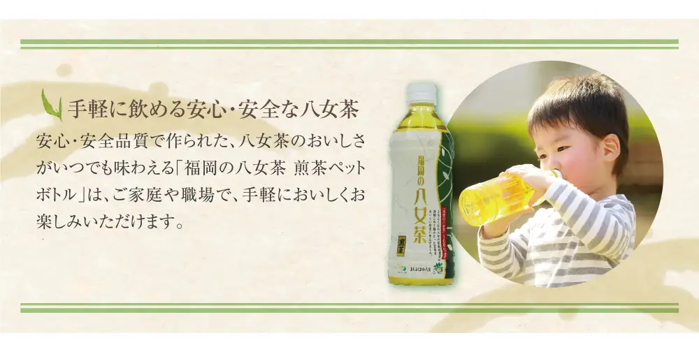 Z26-81 八女茶 煎茶ペットボトル(24本)定期便(隔月×3回)  お茶 大容量 ペットボトル