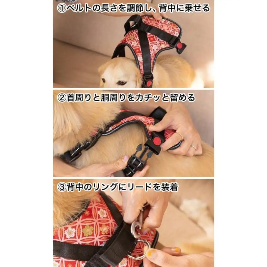【 京都西陣金襴織 】中型犬ハーネス 華（小桜月 赤）《柴犬柄コースター付き！》【柴犬コウタのハッピィショップ】［ 犬用ハーネス 背中に乗せてカチッと留めるだけ 胴輪 抜けにくい お正月 お祝い 人気 おすすめ ギフト プレゼント お取り寄せ 通販 送料無料 ふるさと納税 ］