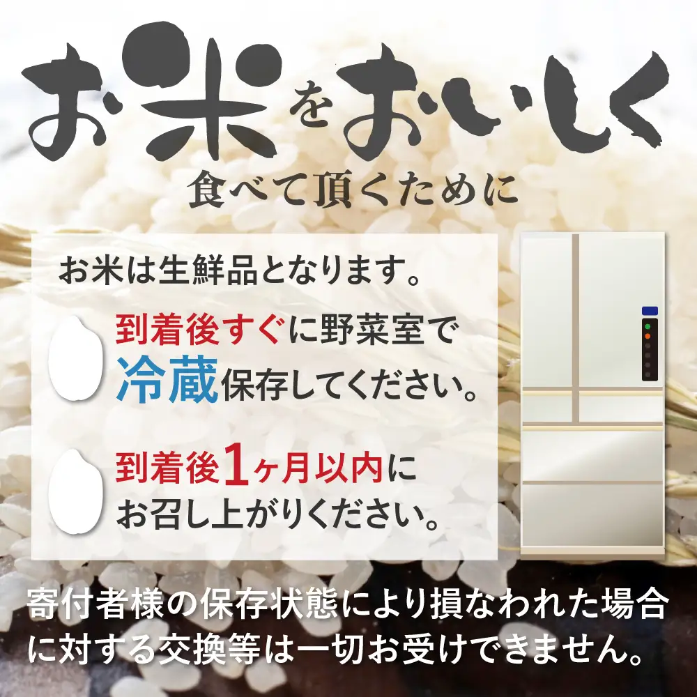 新米《先行予約》令和8年産 黄金の煌き コシヒカリ 2kg こしひかり 米 2キロ 