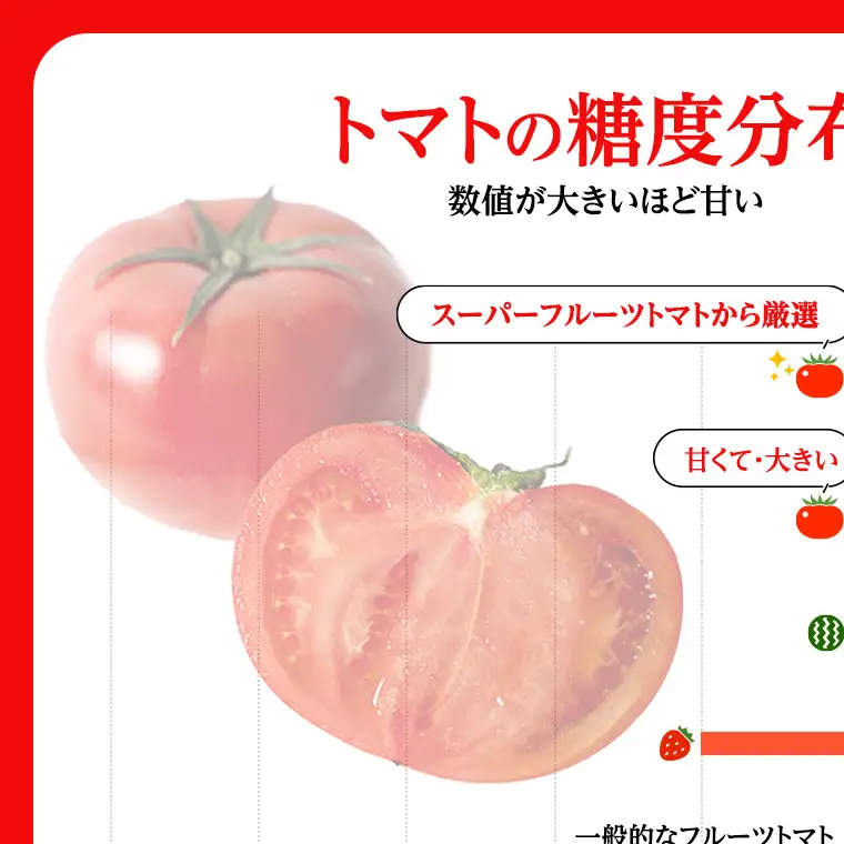 《 2027年 収穫分 》2～6月配送 スーパーフルーツトマト 大箱 約2.6kg × 3箱 (20～35玉/1箱) 糖度9度以上 先行予約 茨城県 桜川市 KEK 国産 トマト フルーツトマト ブランドトマト 野菜 ギフト 贈答 青空レストラン アド街ック天国 グッドモーニング 黄金のワンスプーン 昼めし旅 [BC010sa]