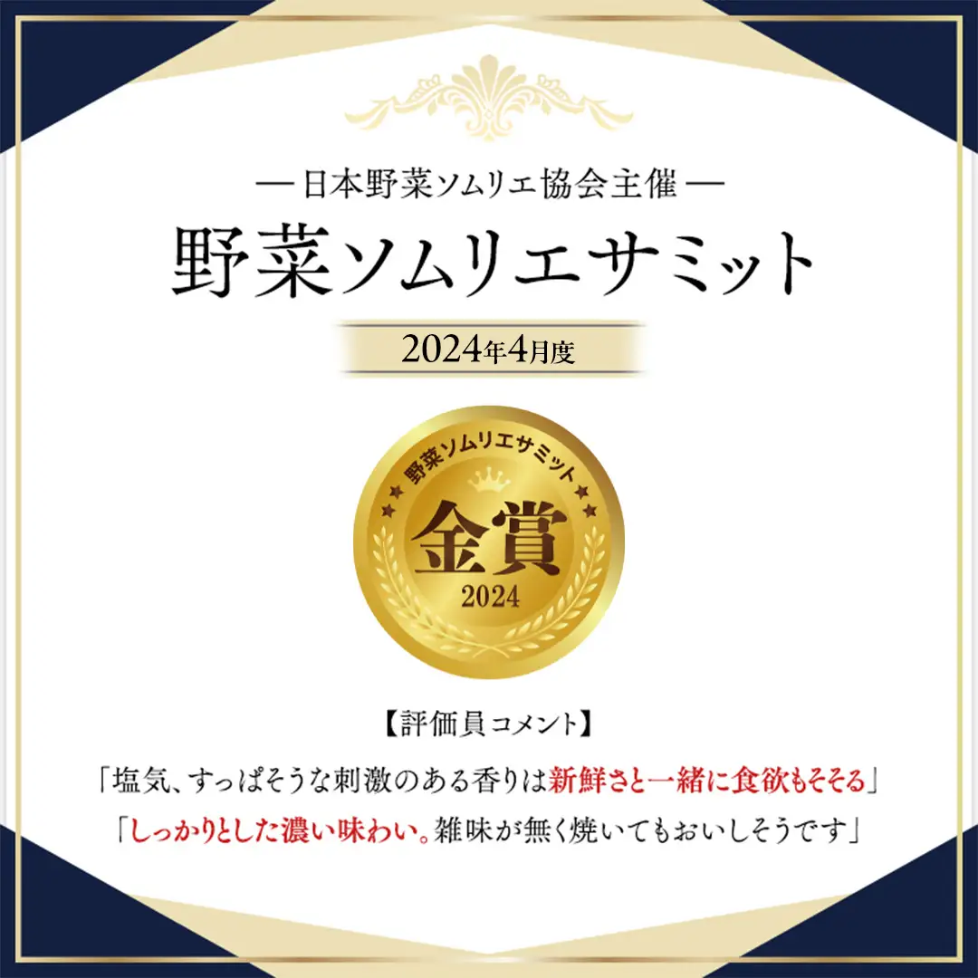 《 2027年 収穫分 》2～6月配送 スーパーフルーツトマト 中箱 約1.2kg × 2箱  (12～18玉/1箱) 糖度9度以上 先行予約 茨城県 桜川市 KEK 国産 トマト フルーツトマト ブランドトマト 野菜 ギフト 贈答 青空レストラン アド街ック天国 グッドモーニング 黄金のワンスプーン 昼めし旅 [BC014sa]