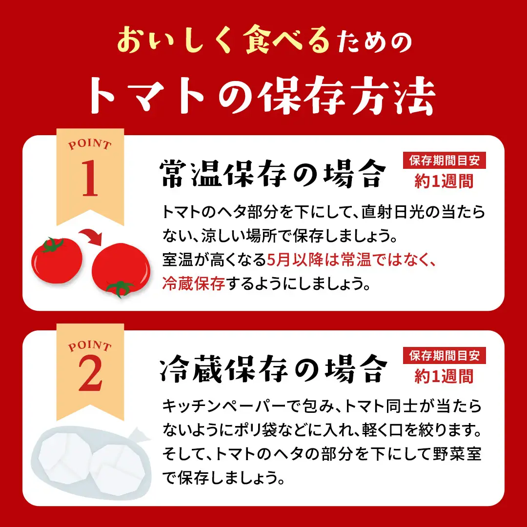 《 2027年 収穫分 》2～6月配送 フルーツトマト 大箱 約2.6kg × 1箱 (20～35玉/1箱) 糖度7度以上 先行予約 茨城県 桜川市 KEK 国産 トマト ブランドトマト 野菜 ギフト 贈答 [BC018sa]