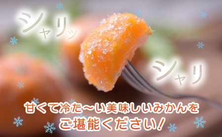 冷凍みかん ご家庭用 サンファームみかん