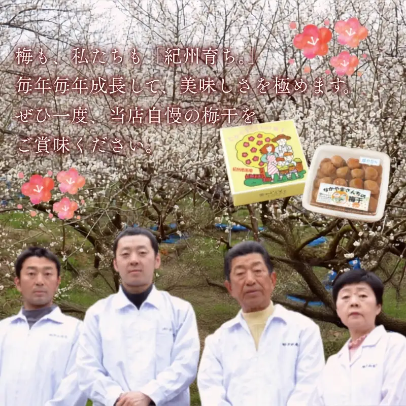 紀州南高梅　かつお【ハチミツ入】 塩分5%（1kg）なかやまさんちの梅干 うめ ウメ 梅干し【nky005-210k】