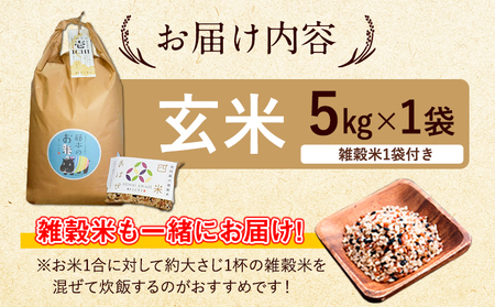 令和8年産 特別栽培米 いのちの壱 玄米 5kg 雑穀米付き 虹色のかば