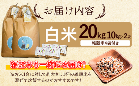 令和8年産 特別栽培米 いのちの壱 白米 20kg (10kg×2袋) 雑穀米付き 虹色のかば