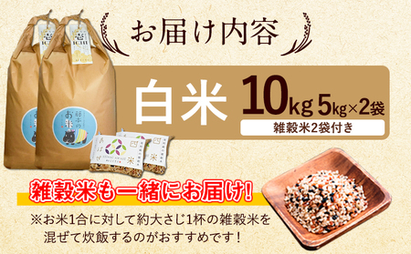 令和8年産 特別栽培米 いのちの壱 白米 10kg (5kg×2袋) 雑穀米付き 虹色のかば
