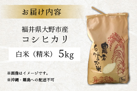【令和5年産】福井県大野市産 コシヒカリ 白米 精米 5kg 農家直送  [A-013001]