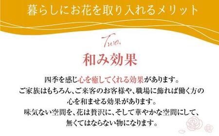 翌月より発送開始 お花の定期便 ・ デザインアレンジメント ・ カゴ付き 毎月2回 3ヶ月間 (計６回) アレンジメント 季節の花 生花 花 定期便 FJ103