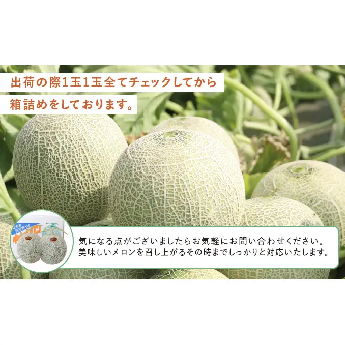 TVで話題【2026年発送】北海道 富良野 赤肉 メロン 2玉 計3.2kg以上