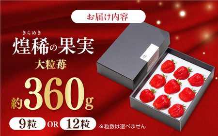 【先行予約】 煌稀の果実 大粒 苺  約360g (9または12粒) 高知市春野町産 〈2027年1月上旬～2027年4月上旬頃発送〉 /  いちご イチゴ 果物 フルーツ【森強のいちご農園】 [ATAS001]