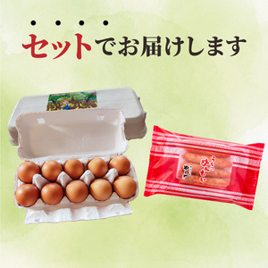 平飼い卵Ｍ～Ｌサイズ20個 ＆やまや辛子明太子150ｇセット【上毛町特別企画】_C01202