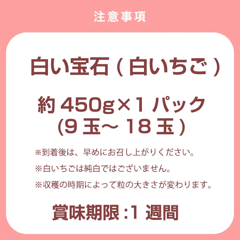 『先行予約』【令和9年2月上旬から4月下旬までにお届け】白い宝石 白いちご 450g 贈答用 いちご イチゴ 苺 フルーツ 果物 希少