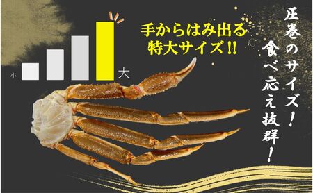 ほんまにうまい ずわいがに 2kg ずわい蟹 ずわいガニ ズワイガニ 