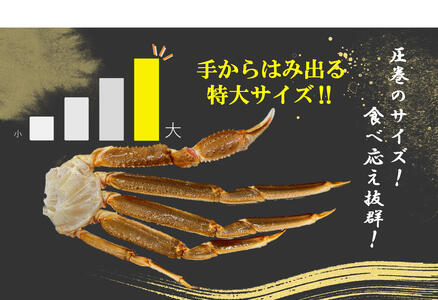 ずわいがに ほんまにうまい ハーフポーション ずわいがに【1.5kg】