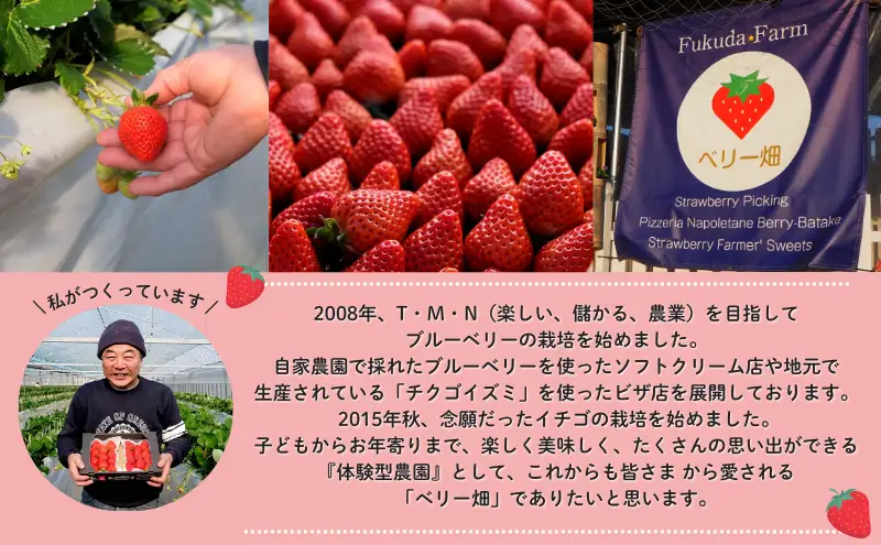 いちごセット あまおう 紅ほっぺ 福田ファーム いちごセット【各1パック(280g×2)】