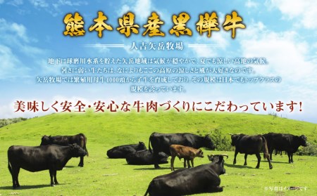 【4回定期便】くまもと黒毛和牛 杉本本店 黒樺牛 A4~A5等級 極上ステーキ食べ比べ 定期コース