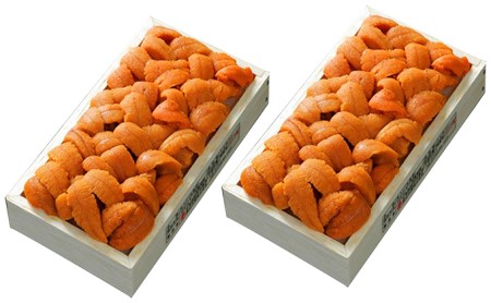 極上エゾバフンウニ折詰200g・塩水パック200g食べ比べセット B2022年6月上旬～8月中旬迄