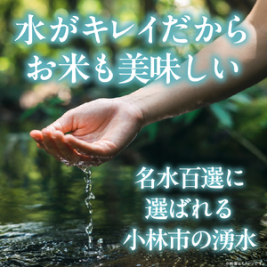 米 湧水で育った小林市産ブレンド米 15kg 5kg×3袋 お米 米 