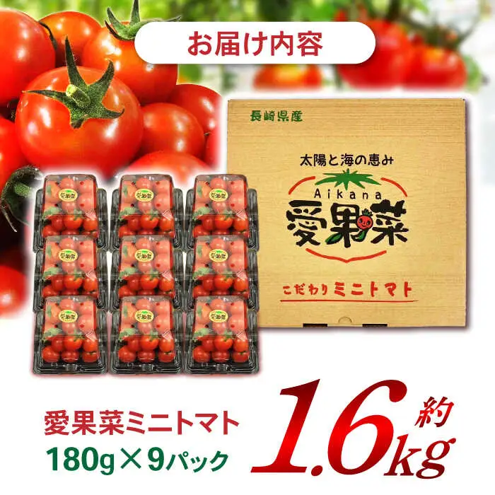 【先行予約※2026年11月より発送】愛果菜ミニトマト9P×1セット / トマト とまと ミニトマト プチトマト 愛果菜 / 諫早市 / 愛菜ファーム株式会社 [AHAK001]