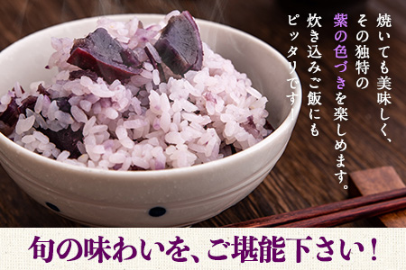 熊本県大津町産 ふくむらさき 5kg《2027年2月上旬-4月下旬頃出荷》 タカハマ観光農園 さつまいも 芋 紫芋 高糖度