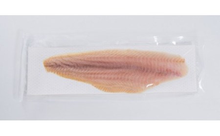 熊野なまず スキンレスフィレ ×4枚 400g（約100g×4枚） 刺身 お刺身 【NHK総合うまいッ！で紹介されました】【sgk005】