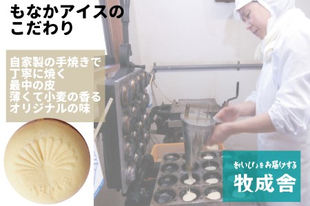 【期間限定】2022年にゃんにゃん手焼き最中アイスセット 10個 バニラ 抹茶 あん抹茶 いちご コーヒー お菓子 スイーツ ギフト モナカ 詰め合わせ (SAVE THE CAT HIDA支援) [AI033]