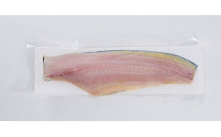 熊野なまず 皮付きフィレ ×4枚 400g（約100g×4枚） 天ぷらやフライ・煮つけやお鍋の具材として 【NHK総合うまいッ！で紹介されました】【sgk006】