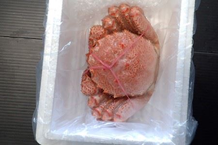 ボイル毛がに400g～500g×1尾 A-11176