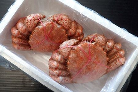 ボイル毛がに400g～500g×2尾 B-11047