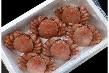 根室海鮮市場[直送]ボイル毛がに400g～500g×6尾 D-28025