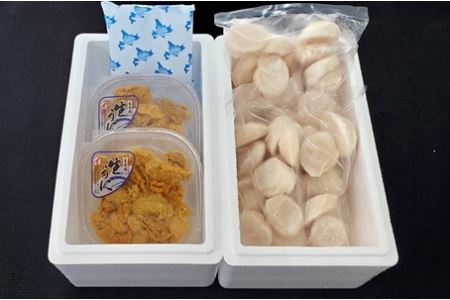 エゾバフンウニ塩水100g×2P、お刺身ホタテ貝柱500g×2P[11月下旬以降発送] E-71017