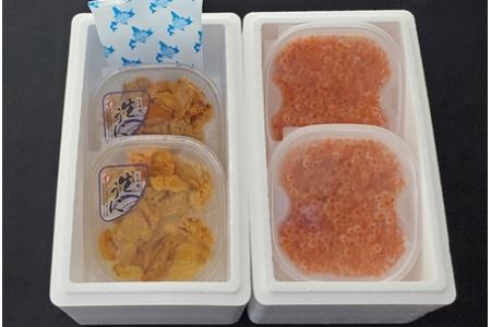 エゾバフンウニ塩水100g×2P、いくら醤油漬け(鱒卵)150g×2P[11月下旬以降発送] E-71018
