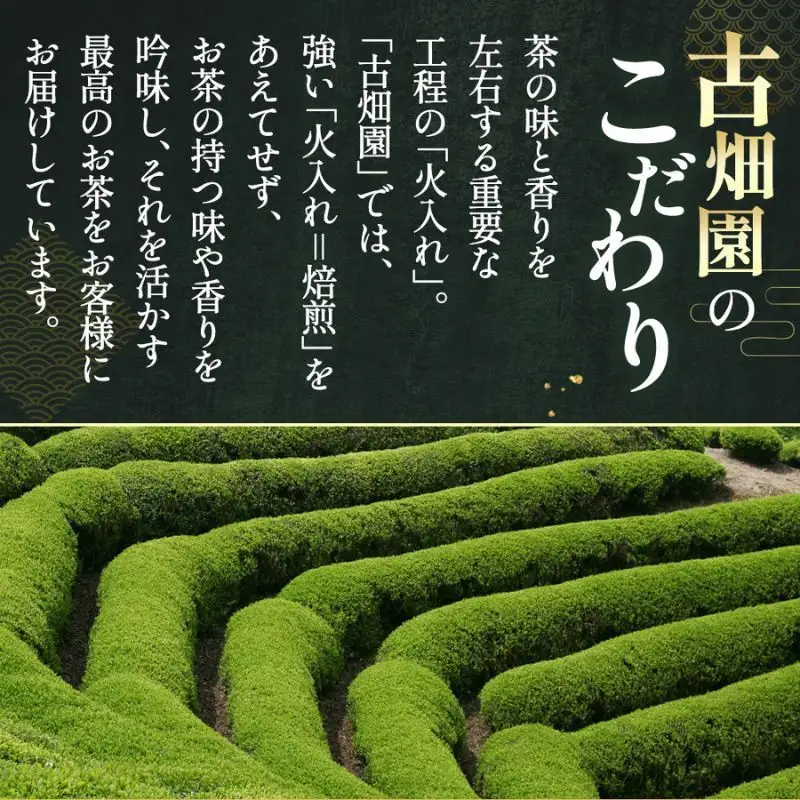 特別金賞受賞　宇治抹茶　琴〈特別金賞 高級 お茶 宇治抹茶 抹茶 粉末 緑茶 茶道 お抹茶 濃茶 薄茶 飲料〉 飲料類 