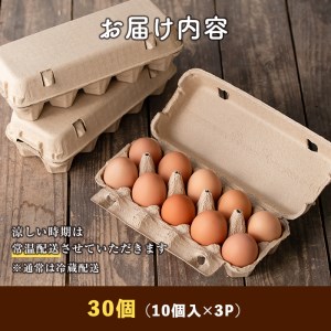 【ふるなびWEEK対象】A0-07 いちき農園のこだわり卵(計30個・10個入り×3パック) 平飼い 鶏 たまご 低コレステロール 抗生物質不使用 卵かけご飯 TKG【いちき農園】
