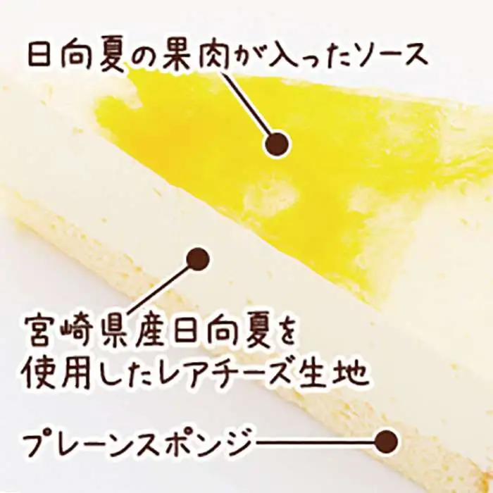 レアチーズケーキ( あまおう/ 日向夏 ) ケーキ 2種12個 冷凍 糸島市 / 五洋食品産業 [AQD008]