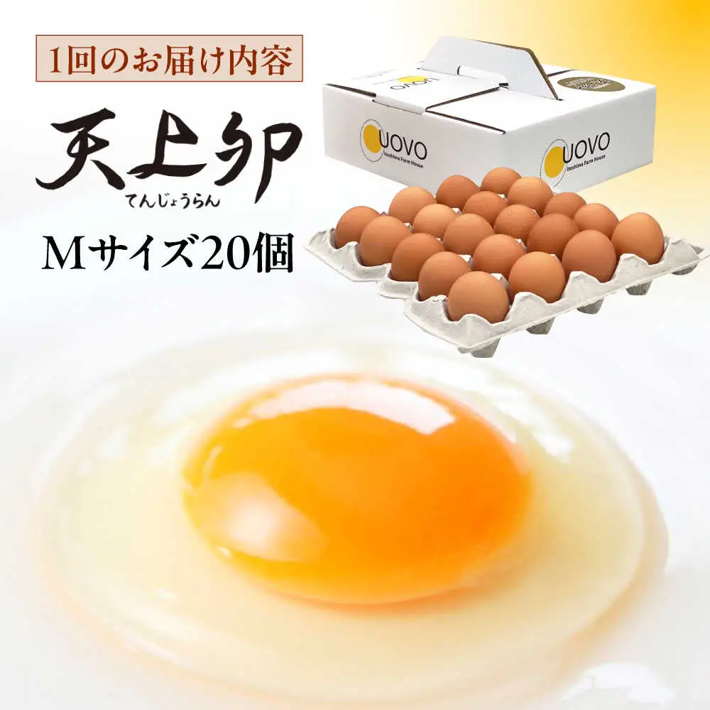 【 全3回 定期便 】  平飼い 卵  「 天上卵 」 20個 セット 糸島市 / 糸島ファームハウスUOVO [AKH002]
