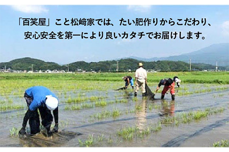 二丈の 赤米 ブレンド 5kg（ 1kg × 5 ）《糸島》【百笑屋】 [ABF009] 米 ミルキークイーン 赤米 お米 精米