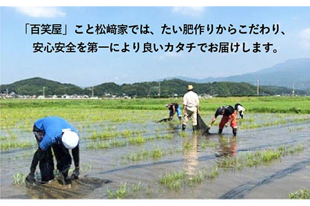  【 栽培期間中農薬不使用 】米 旋風 ミルキークイーン 5kg《糸島》 【百笑屋】 [ABF001] 米 お米 白米 精米