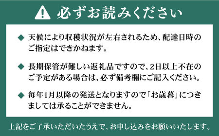 【その日一番のあまおうを即日出荷！】 本格 あまおう ( 285g × 2パック) いちご 苺 糸島市 / みのりのりん [ABD002] ランキング 上位 人気 おすすめ