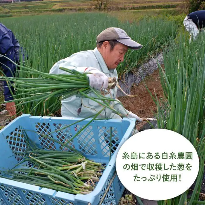 ごはんのおともに！ 食べる ネギ油 3個 セット 糸島産 ネギ たっぷり使用！《糸島》【白糸農園】[ADH001]